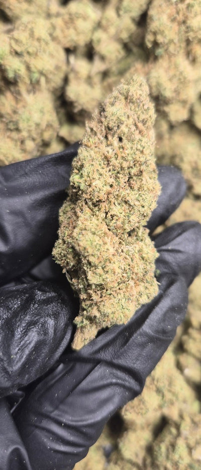 Garlic Budder High THCA Flower Indica - CaliGreenGold