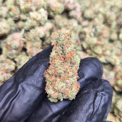 Garlic Juice High THCA Flower Indica - CaliGreenGold