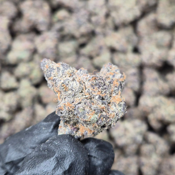 Gazzurple THCA Flower – Sativa · Indoor Exotic | CaliGreenGold - CaliGreenGold