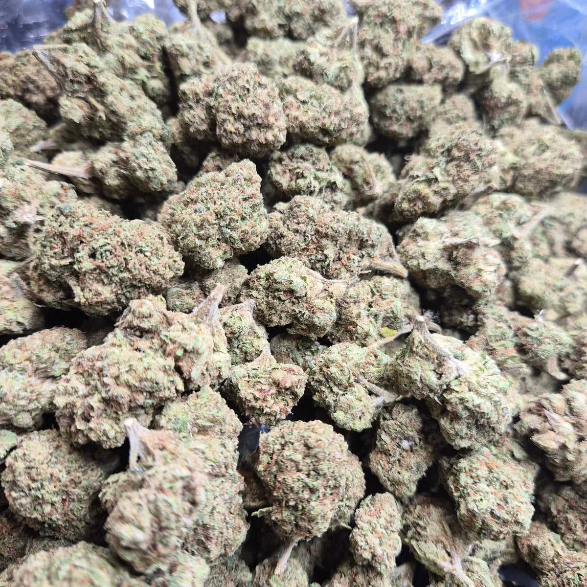Gelato 33 THCA Flower – Indoor Top Shelf Hybrid | CaliGreenGold - CaliGreenGold