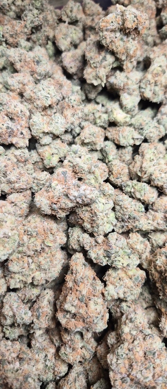 Ghost OG Exotic Indoor THCA Flower Indica - CaliGreenGold
