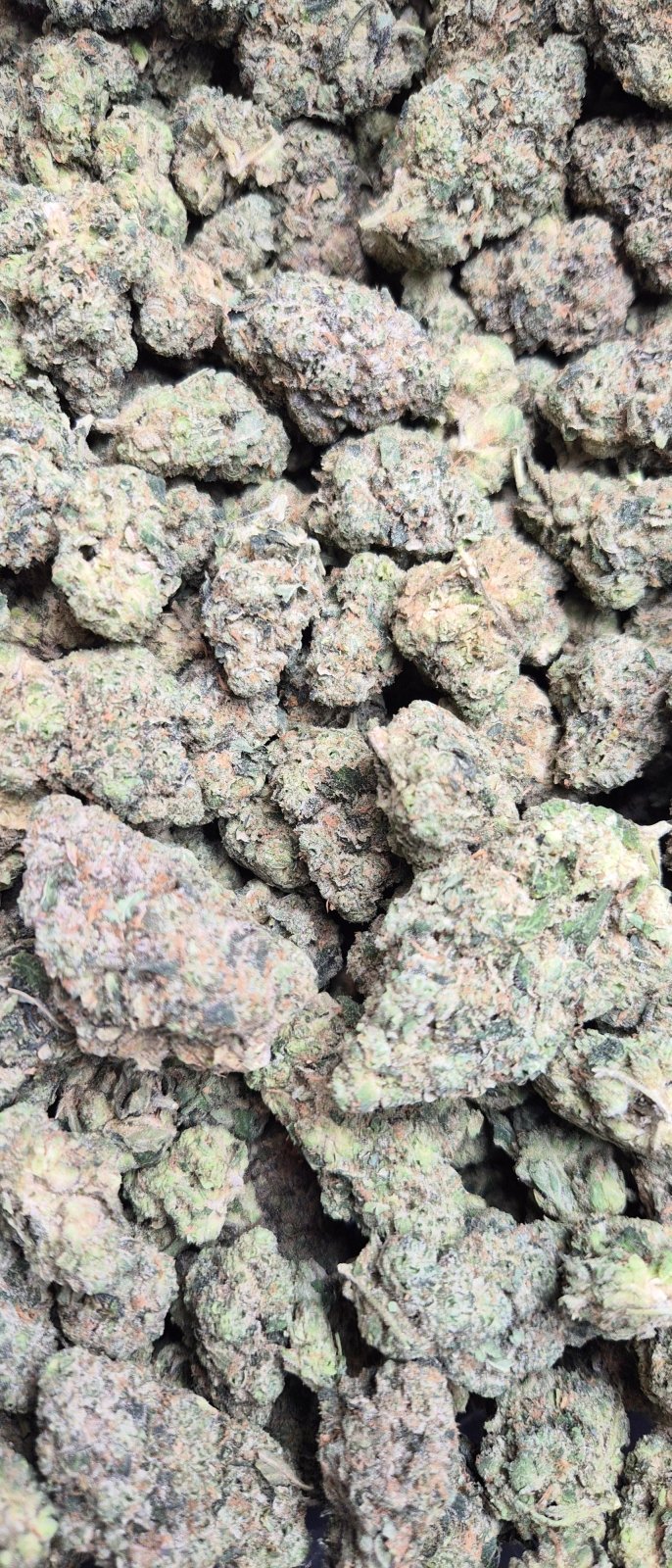 Ghost Vapor High THCA Flower Indica - CaliGreenGold