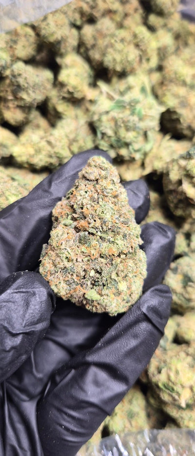 Ghost Vapor High THCA Flower Indica - CaliGreenGold