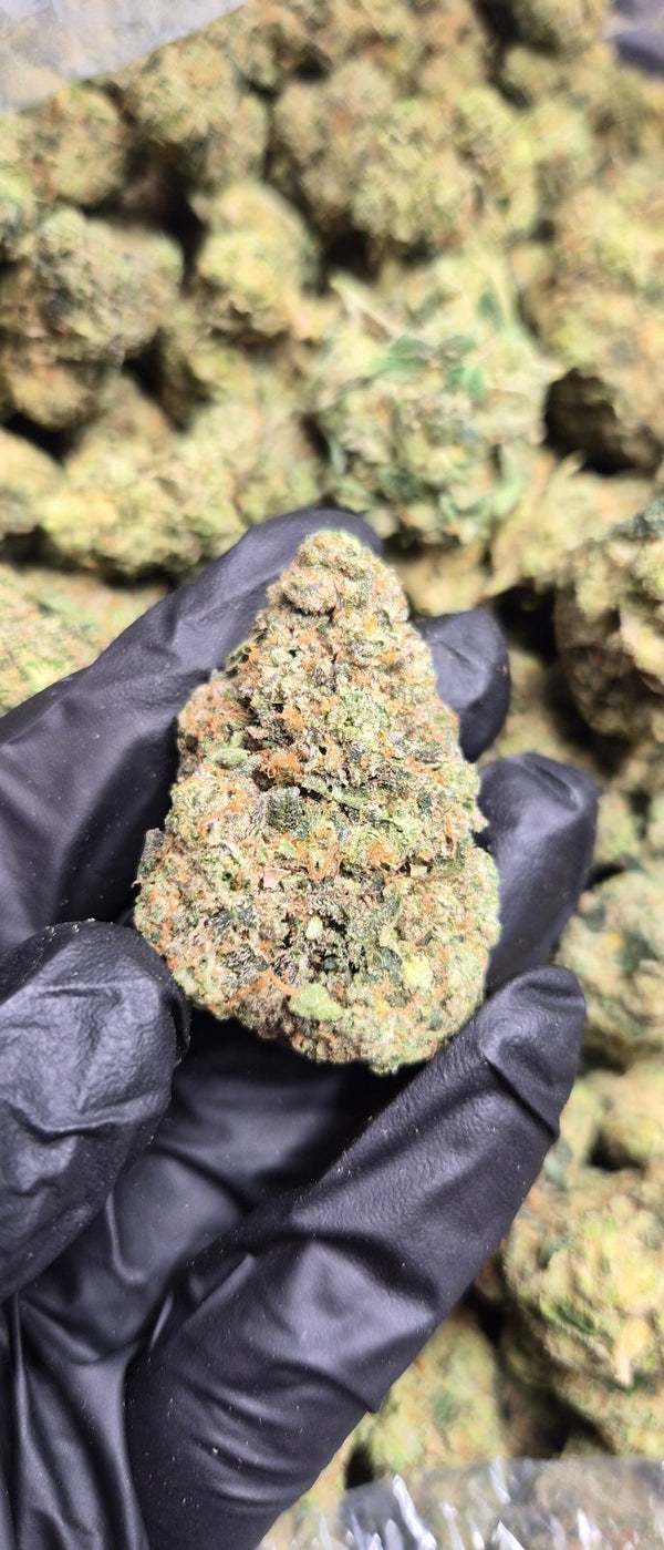 Ghost Vapor High THCA Flower Indica - CaliGreenGold