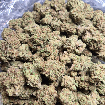 Glitter Bomb THCA Flower – Indoor Top Shelf Indica | CaliGreenGold - CaliGreenGold
