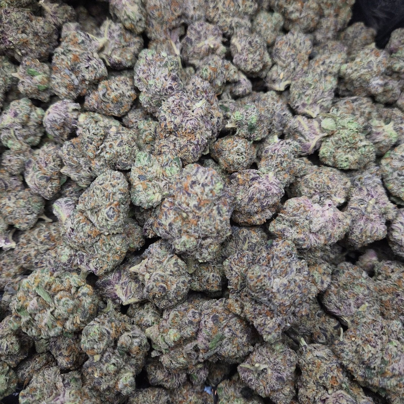 GMO Cookies THCA Flower – Indoor Exotic Indica | CaliGreenGold - CaliGreenGold