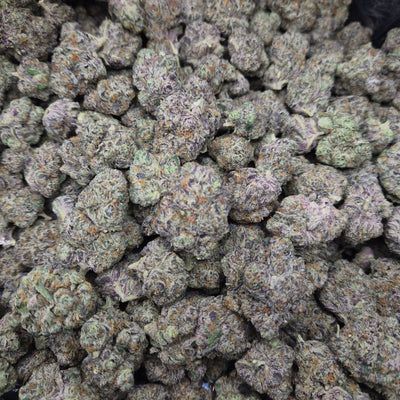 GMO Cookies THCA Flower – Indoor Exotic Indica | CaliGreenGold - CaliGreenGold