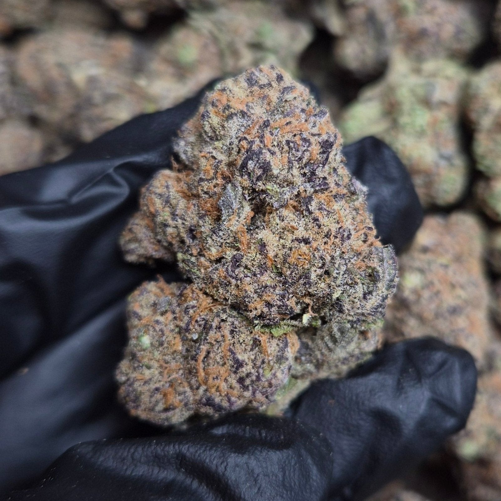 Grape Jolly Rancher THCA Flower – Indoor Hybrid Top Shelf | CaliGreenGold - CaliGreenGold