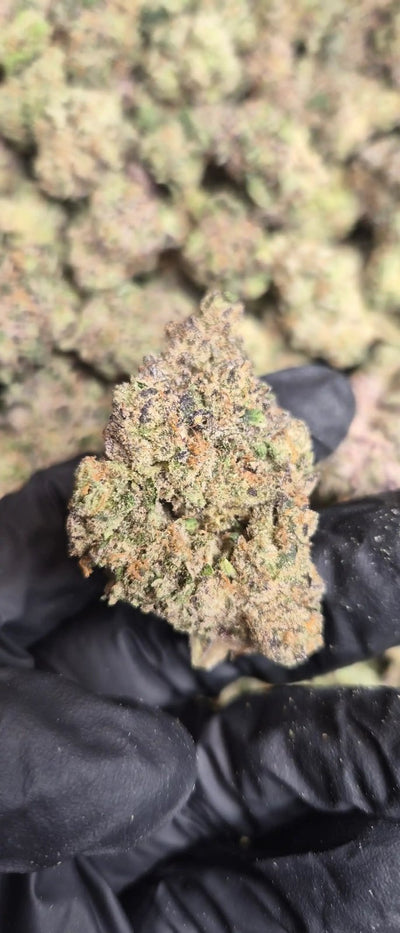 Green Crack High THCA Flower Sativa - CaliGreenGold