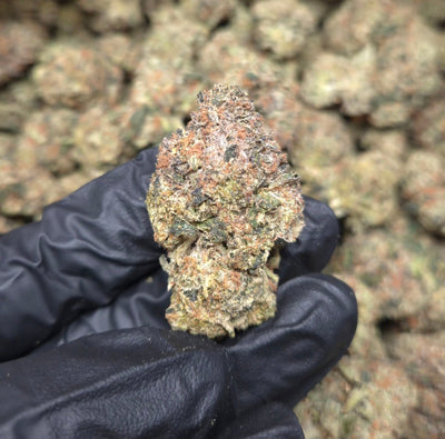 Gumbo THCA Flower – Indoor Top Shelf Indica | CaliGreenGold - CaliGreenGold