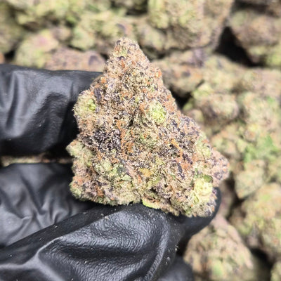 Gummiez THCA Flower – Indoor Exotic Sativa | CaliGreenGold - CaliGreenGold
