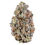 Lemon Cherry Sherbert Exotic Indoor THCA Flower Hybrid