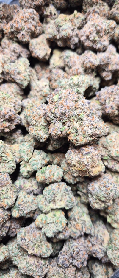 Italian Ice Exotic Indoor THCA Flower Indica - CaliGreenGold