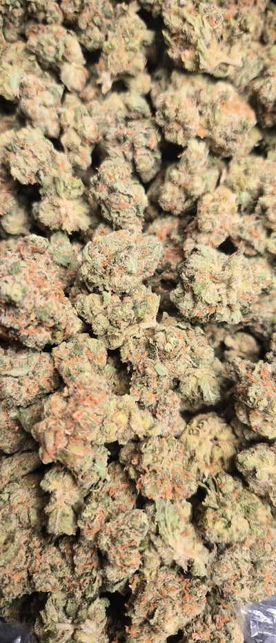 Jack Herer Exotic Indoor THCA Flower Sativa - CaliGreenGold