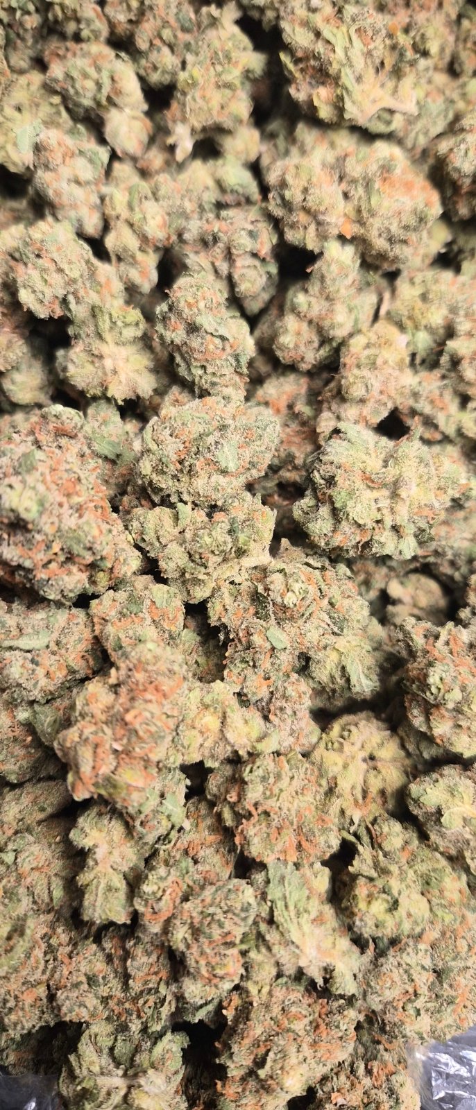 Jack Herer Exotic Indoor THCA Flower Sativa - CaliGreenGold