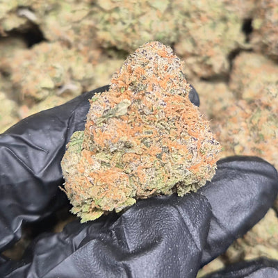 Lemon Tartz THCA Flower – Indoor Top Shelf Sativa | CaliGreenGold - CaliGreenGold