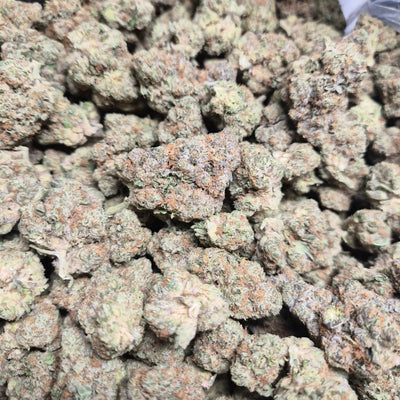 Lemon Tree Exotic Indoor THCA Flower Sativa - CaliGreenGold