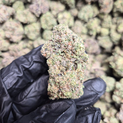 Lip Smackerz Exotic Indoor Flower Indica - CaliGreenGold