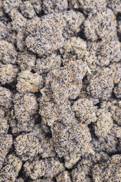 Mango Runtz Exotic Indoor THCA Flower Indica - CaliGreenGold
