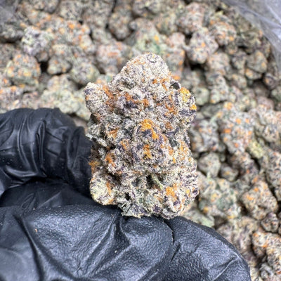 Mint Chocolate Runtz THCA Flower – Indoor Exotic Hybrid | CaliGreenGold - CaliGreenGold