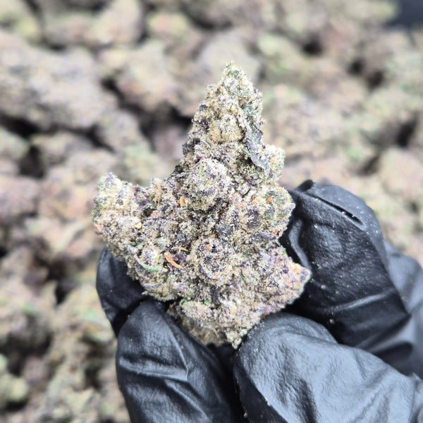 MOB Runtz THCA Flower – Hybrid · Indoor Exotic - CaliGreenGold