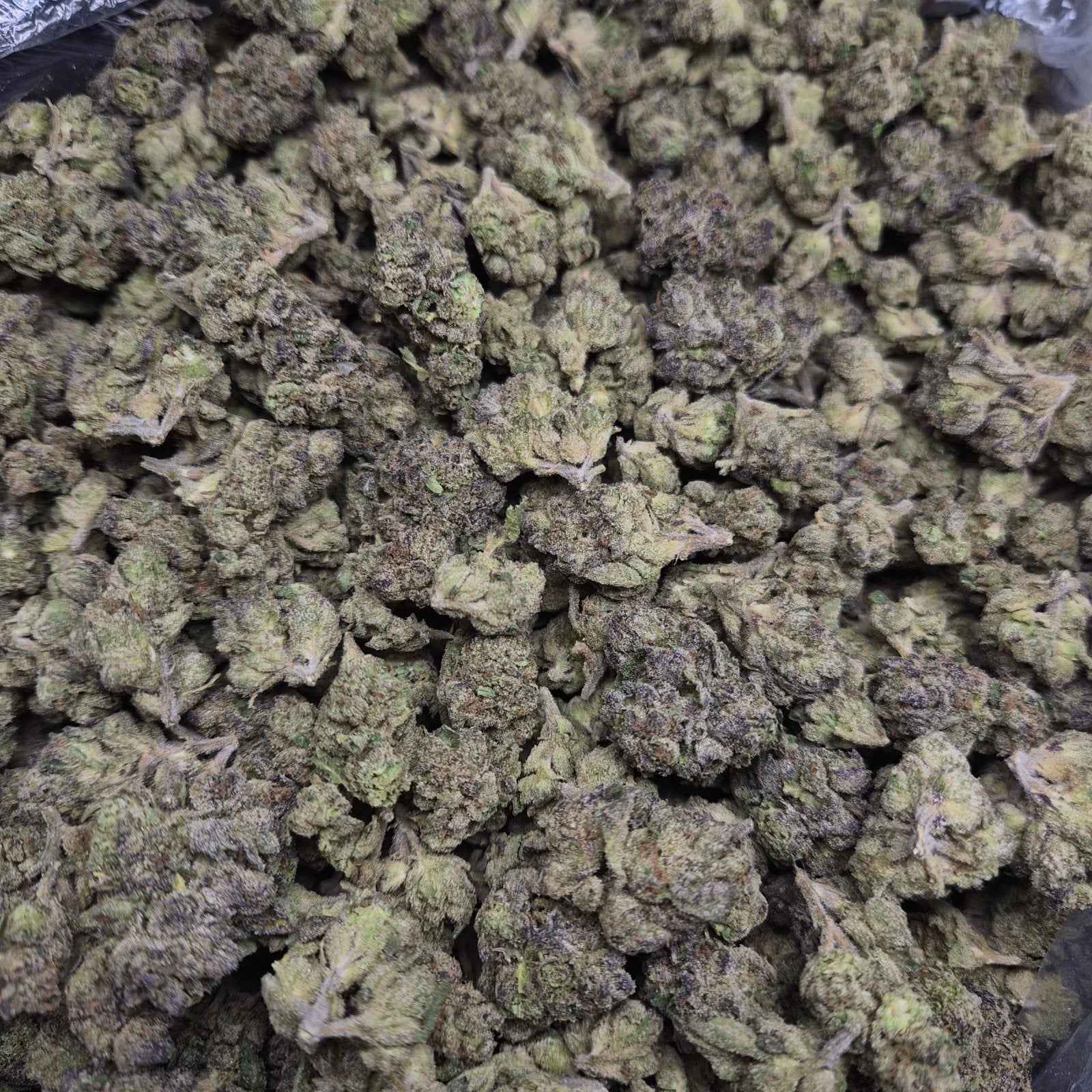 MOB Runtz THCA Flower – Indoor Top Shelf Hybrid | CaliGreenGold - CaliGreenGold