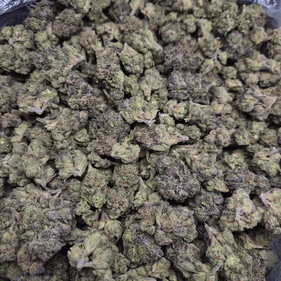 MOB Runtz THCA Flower – Indoor Top Shelf Hybrid | CaliGreenGold - CaliGreenGold