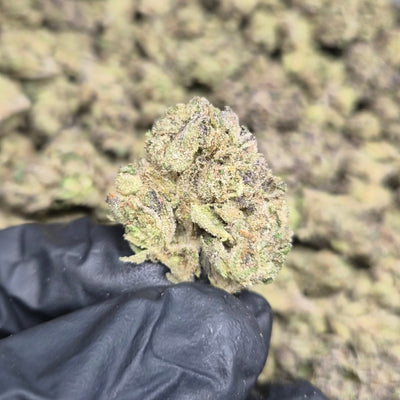 MOB Runtz THCA Flower – Indoor Top Shelf Hybrid | CaliGreenGold - CaliGreenGold