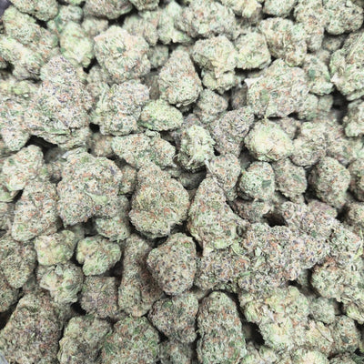 Motorbreath OG THCA Flower – Indoor Exotic Indica | CaliGreenGold - CaliGreenGold