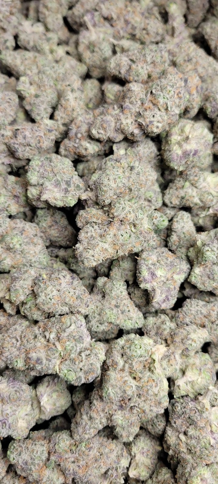 Mule Fuel Exotic Indoor THCA Flower Indica - CaliGreenGold