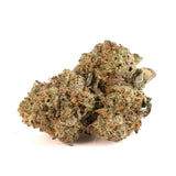Obama Exotic Indoor THCA Flower Indica