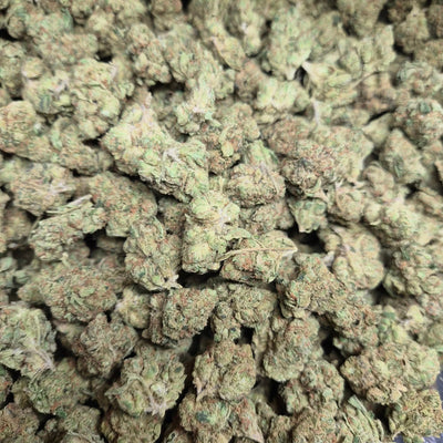Orange Julius THCA Flower – Indoor Top Shelf Sativa | CaliGreenGold - CaliGreenGold