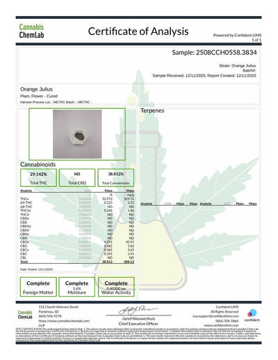 Orange Julius THCA Flower – Indoor Top Shelf Sativa | CaliGreenGold - CaliGreenGold