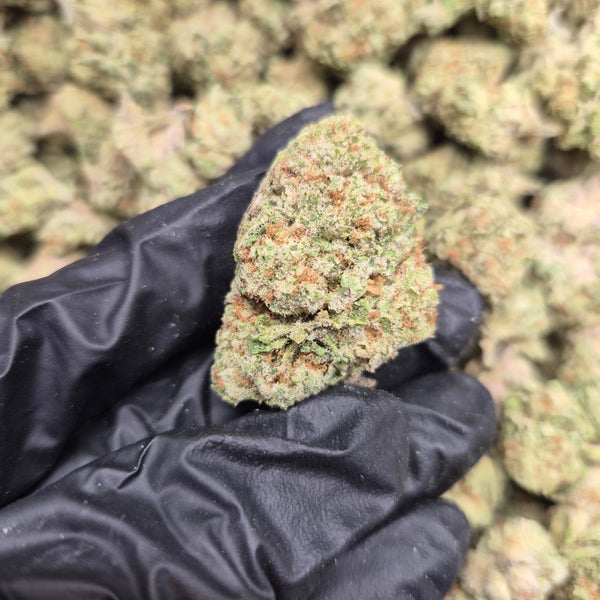Papaya High THCA Flower Indica - CaliGreenGold