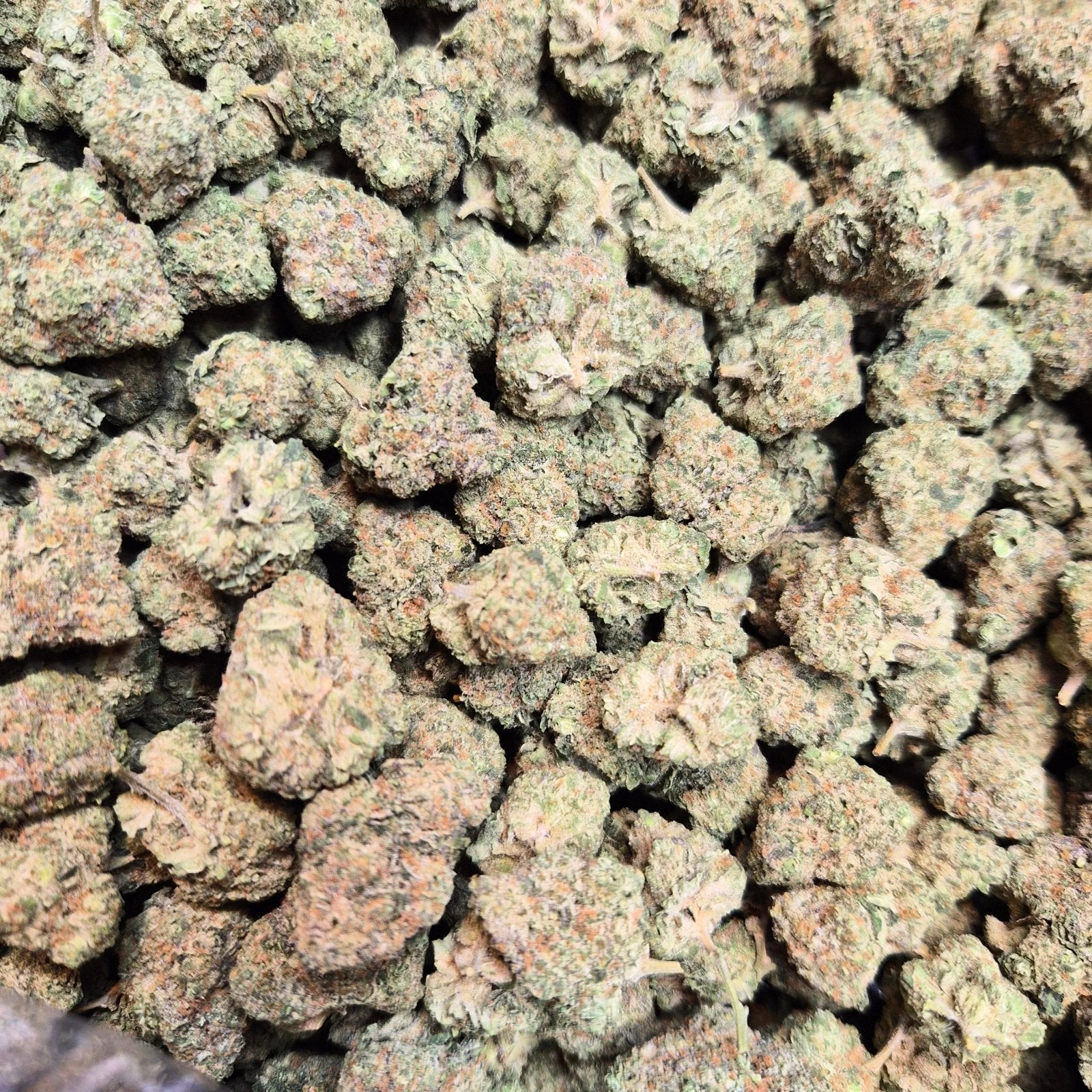 Pavé High THCA Flower Hybrid - CaliGreenGold