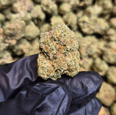 Pavé High THCA Flower Hybrid - CaliGreenGold