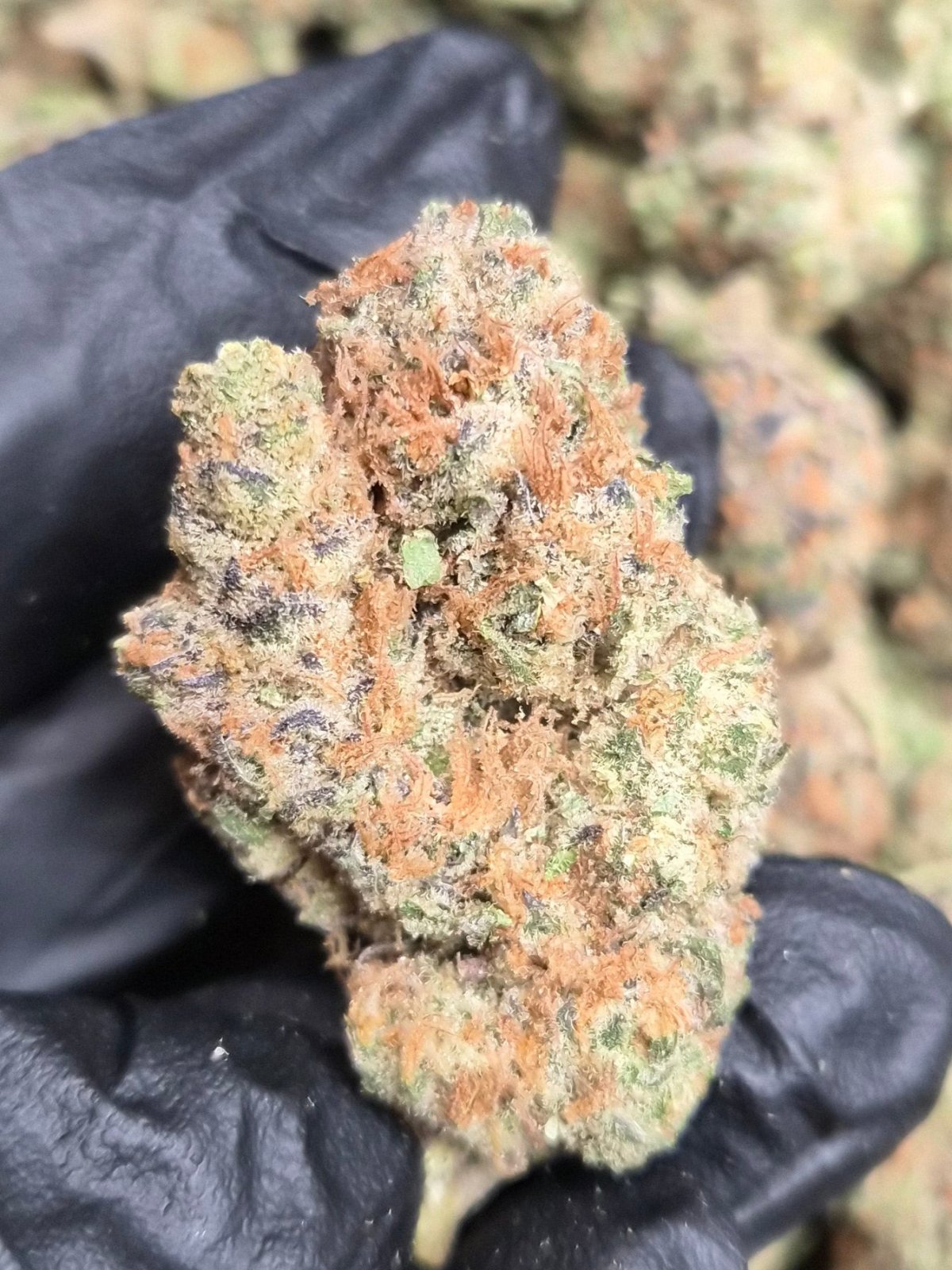 Peanut Butter High THCA Flower Hybrid - CaliGreenGold