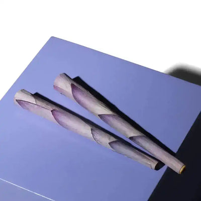 Lotus Petal King Cones | 2 Pack, , PETALS