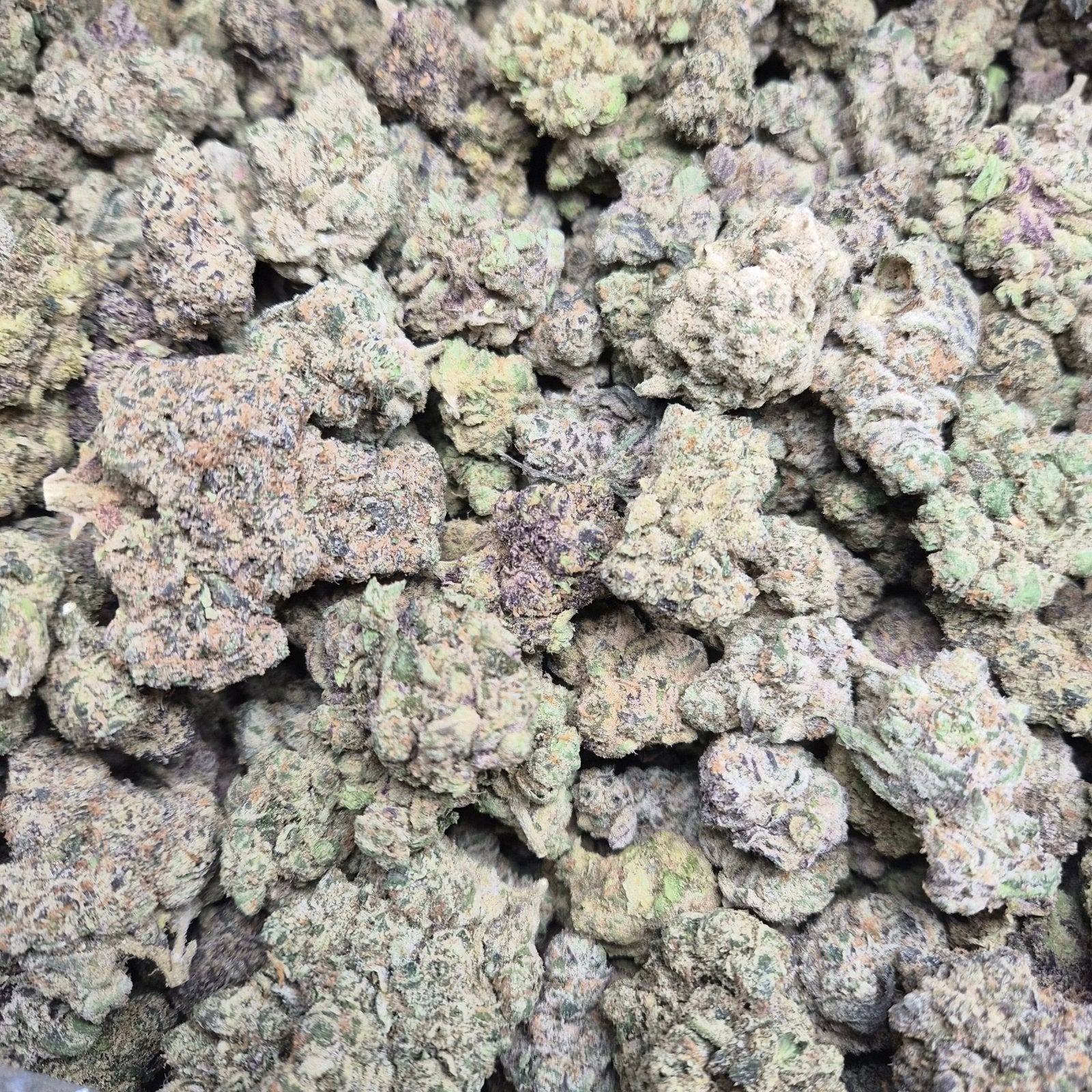 Pheno Hunt THCA Flower – Indoor Top Shelf Hybrid | CaliGreenGold - CaliGreenGold