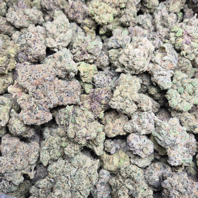 Pheno Hunt THCA Flower – Indoor Top Shelf Hybrid | CaliGreenGold - CaliGreenGold