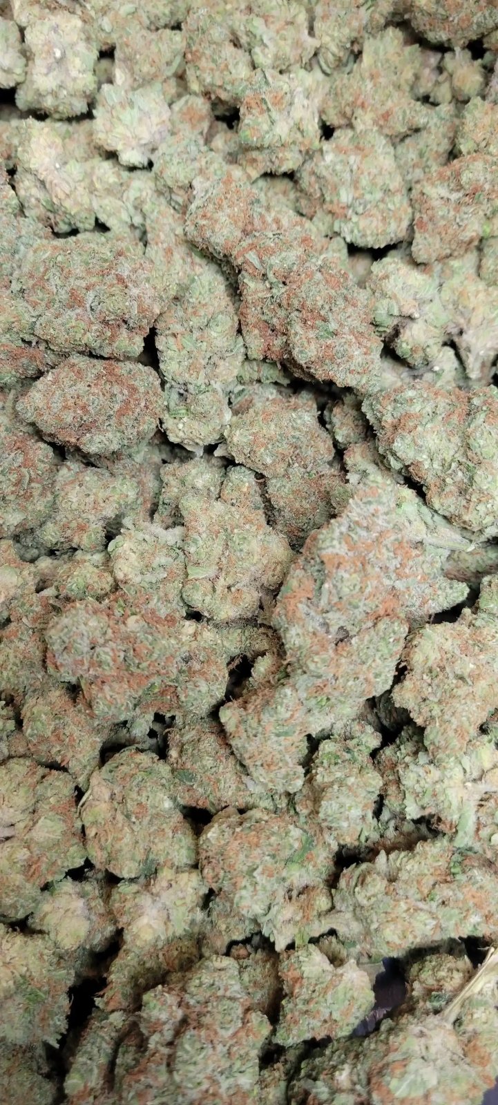 Pineapple Lemonade High THCA Flower Sativa - CaliGreenGold