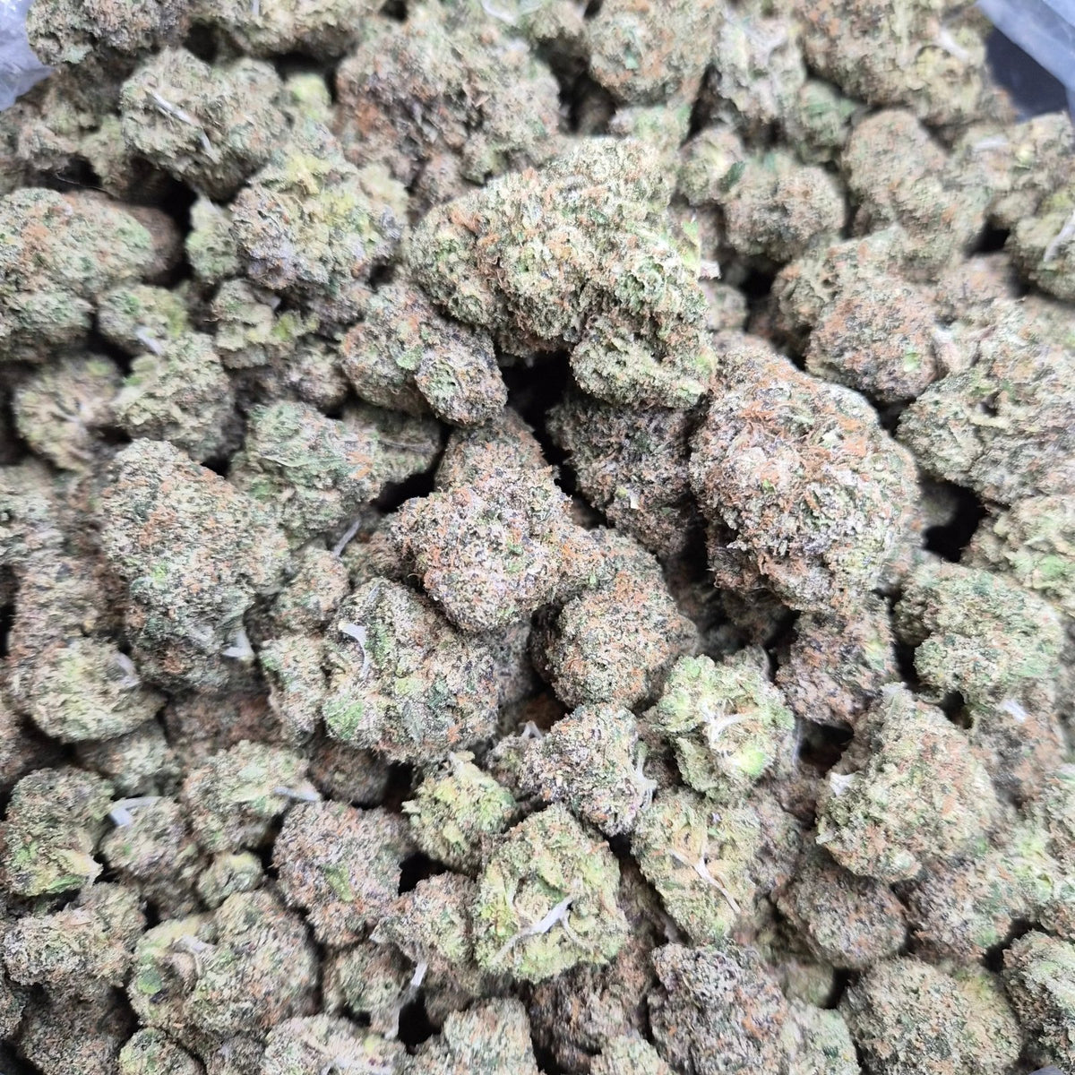 Pink Candy Runtz THCA Flower – Hybrid · Indoor Exotic - CaliGreenGold