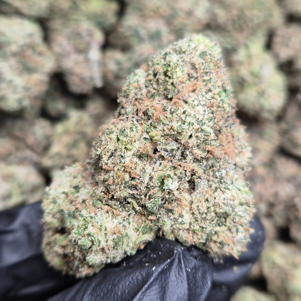 Pink Candy Runtz THCA Flower – Hybrid · Indoor Exotic - CaliGreenGold