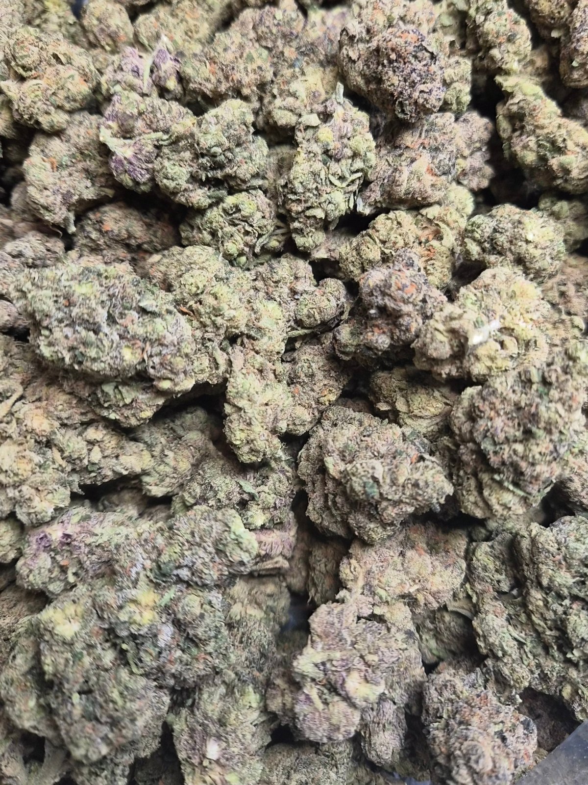 Pink Lady THCA Flower – Indoor Exotic Sativa | CaliGreenGold - CaliGreenGold