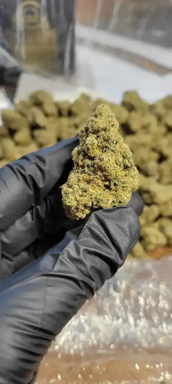 Pluto Exotic Indoor THCA Flower Indica - CaliGreenGold