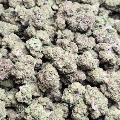Pluto THCA Flower – Indoor Top Shelf Indica | CaliGreenGold - CaliGreenGold