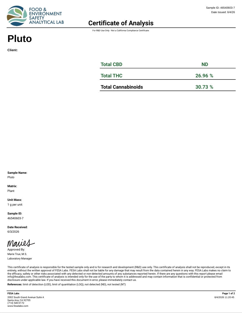 Pluto THCA Flower – Indoor Top Shelf Indica | CaliGreenGold - CaliGreenGold