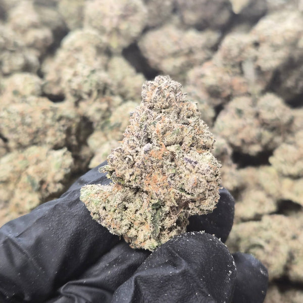 Presidential Runtz THCA Flower – Indica · Indoor Exotic | CaliGreenGold - CaliGreenGold