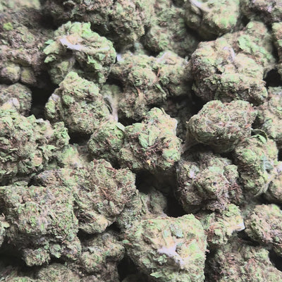 Pluto THCA Flower – Indoor Top Shelf Indica | CaliGreenGold