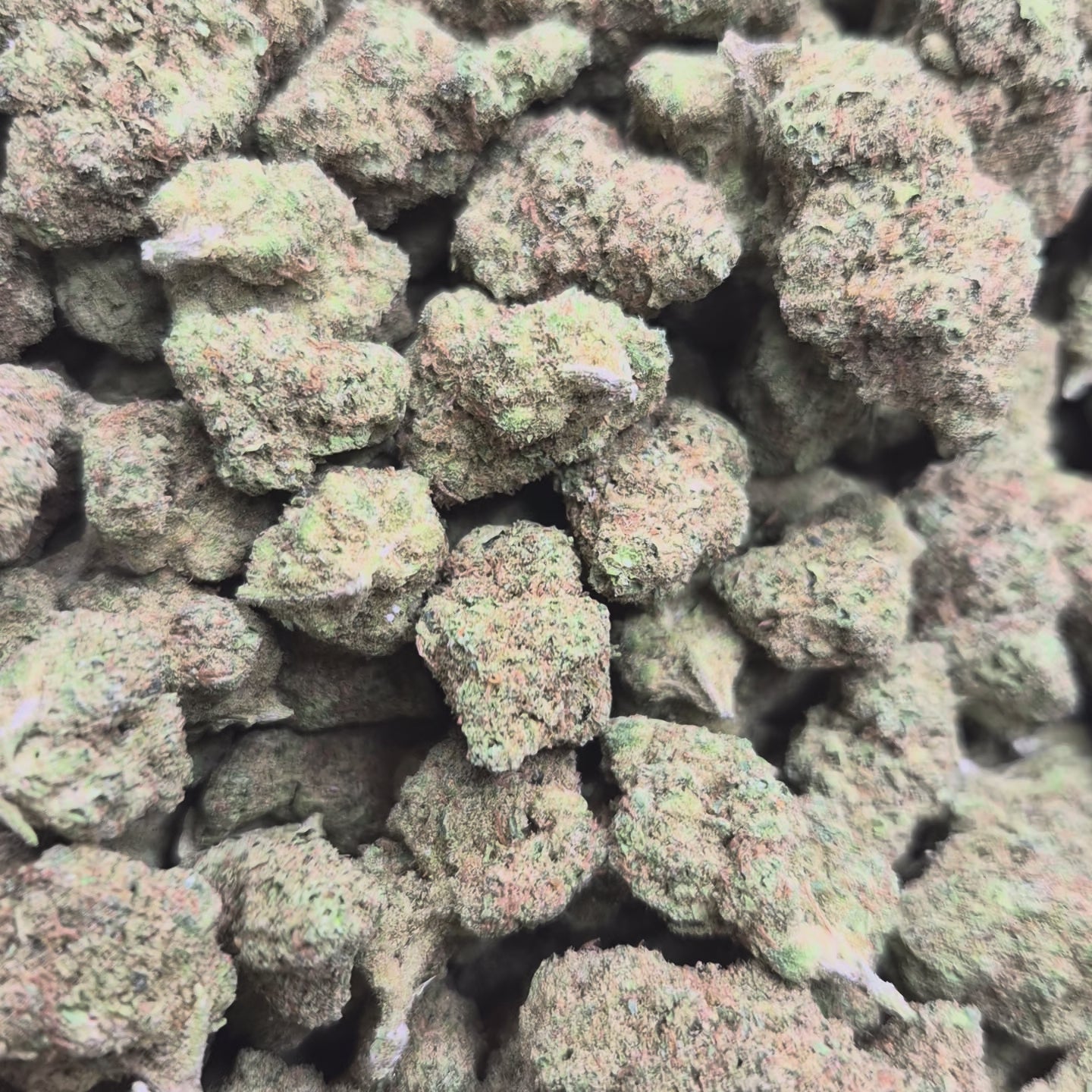 BANJO High THCA Flower Sativa